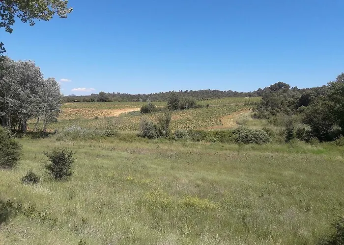Appartement Dans Les Vignes Varoises