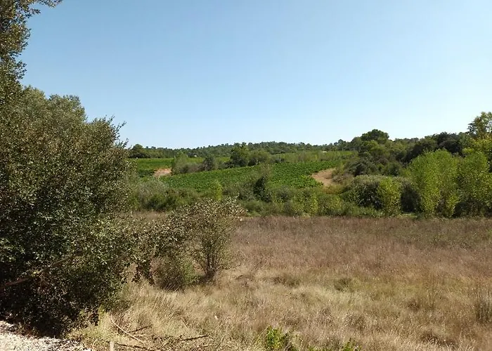 Appartement Dans Les Vignes Varoises