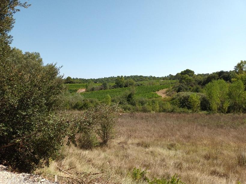Dans Les Vignes Varoises Apartment Brue-Auriac